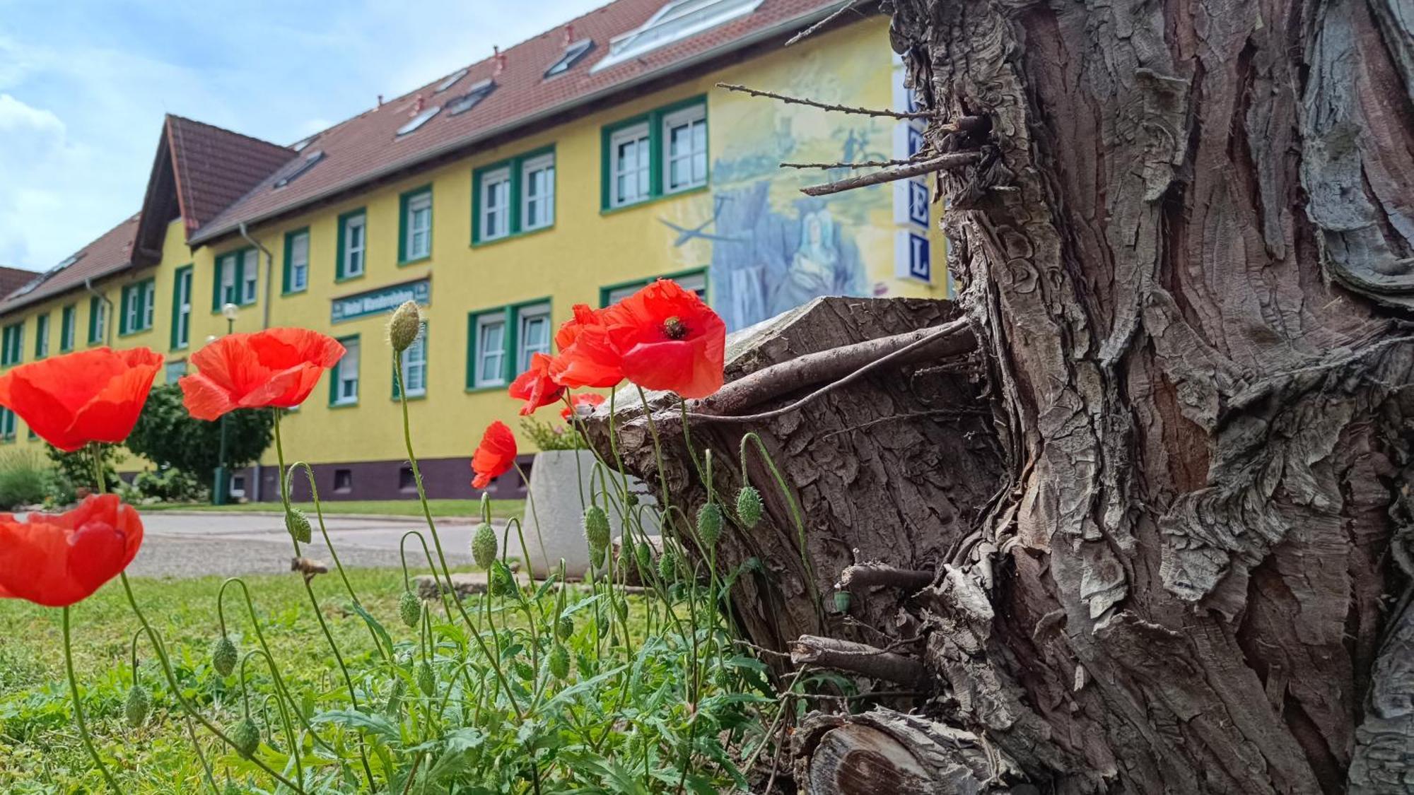 Hotel Wandersleben - Erfurt Exterior foto