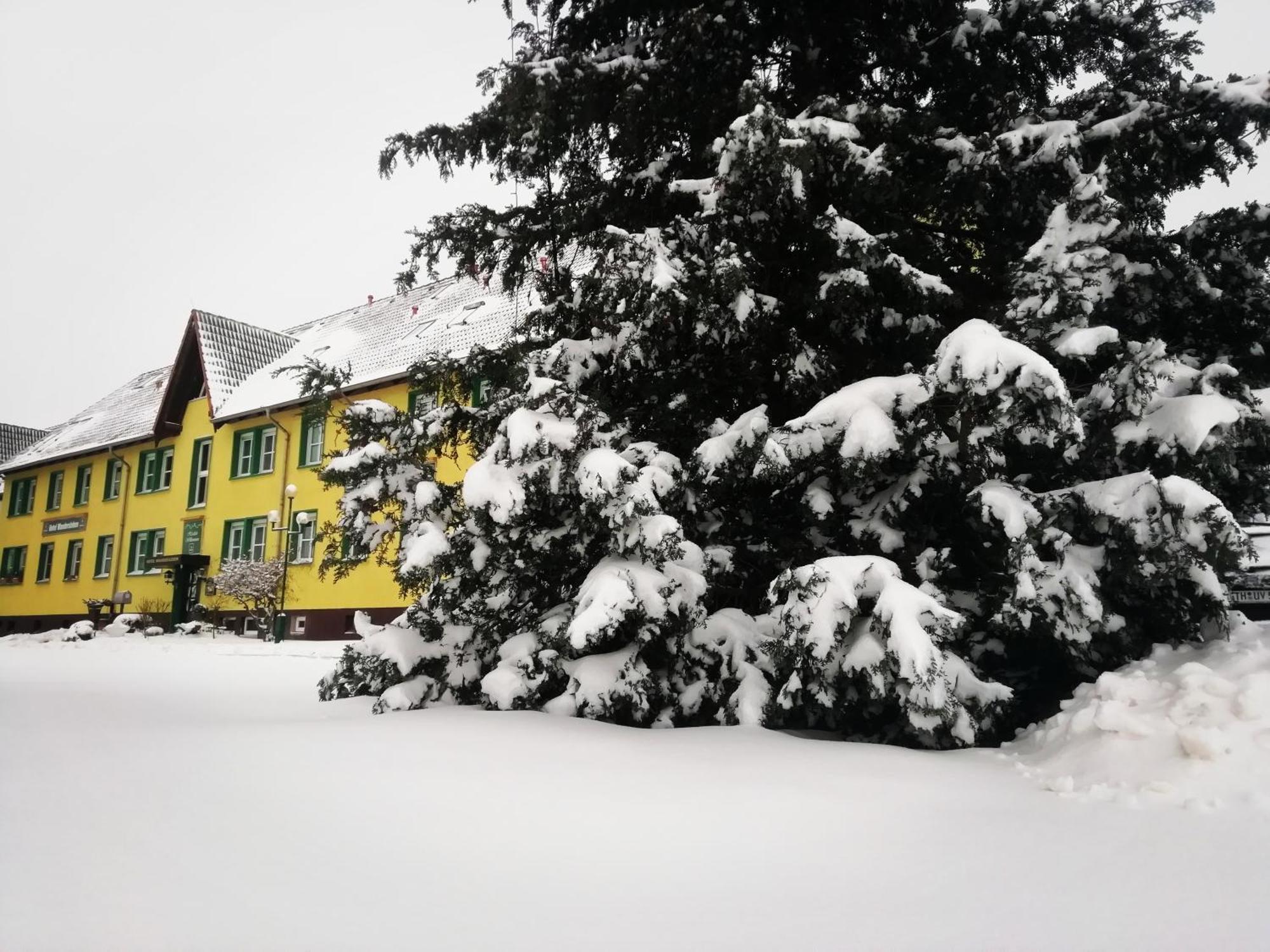 Hotel Wandersleben - Erfurt Exterior foto